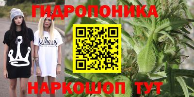 гидра Белорецк