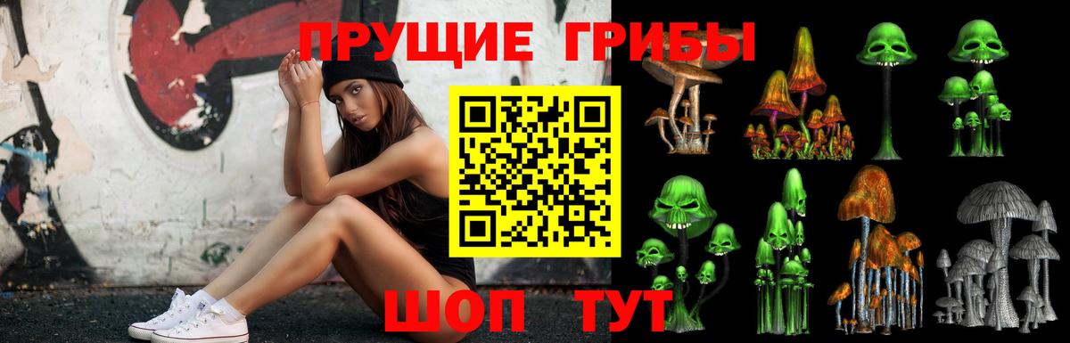 Галлюциногенные грибы мухоморы  Псилоцибиновые грибы Psilocybe  Тихвин  купить закладку  Вход с VPN 