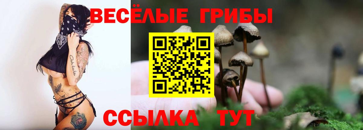 Галлюциногенные грибы мицелий Тихвин